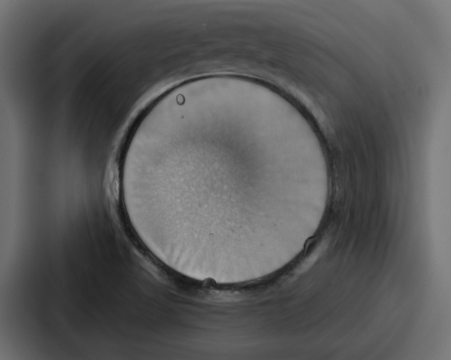 X0000086751509200705111644