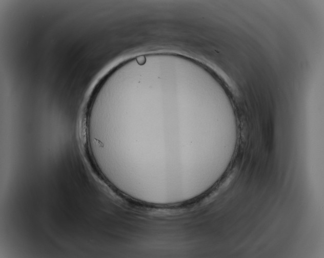 X0000086751510200705111644