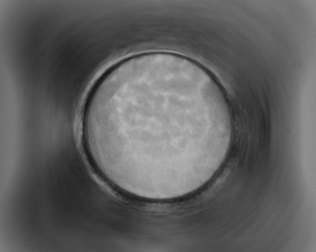 X0000086751511200705111644