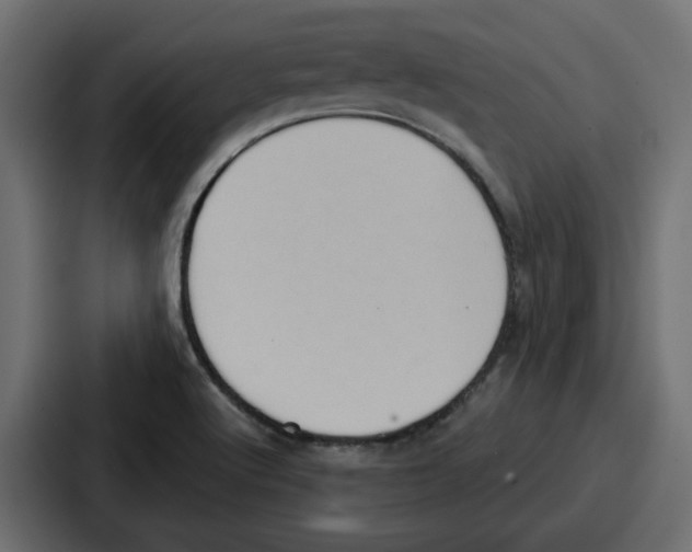 X0000086751512200705111644