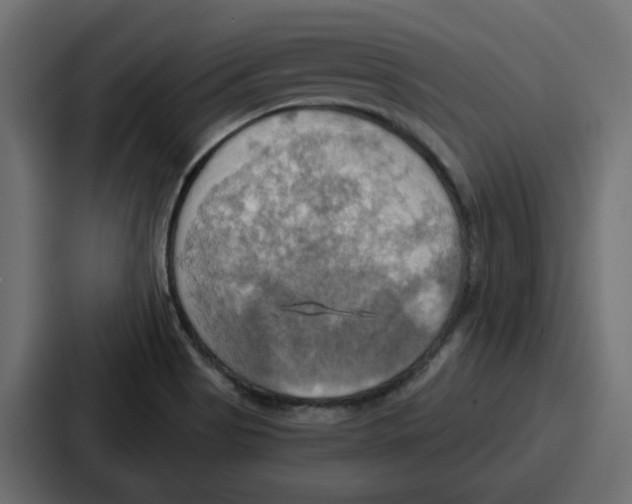 X0000086751513200705111644