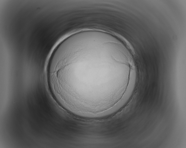 X0000086751514200705111644