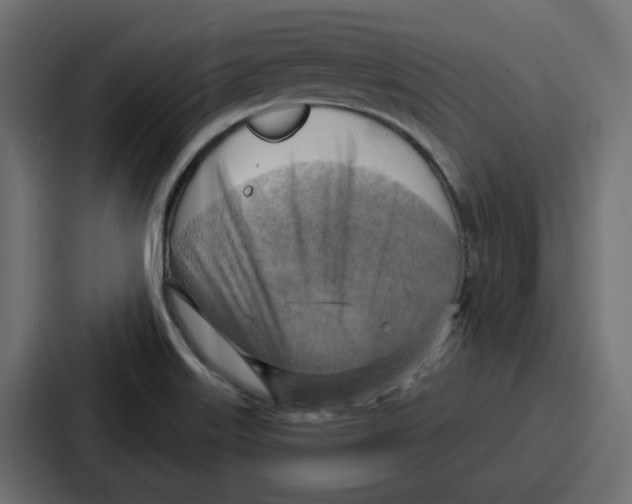 X0000086751515200705111644