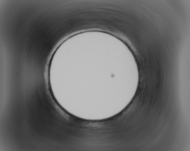 X0000086751516200705111644