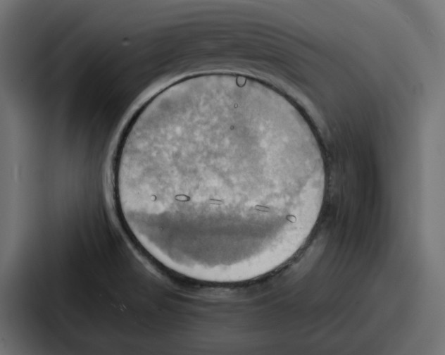 X0000086751517200705111644