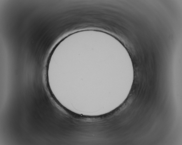 X0000086751518200705111644