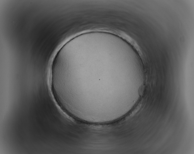 X0000086751520200705111644