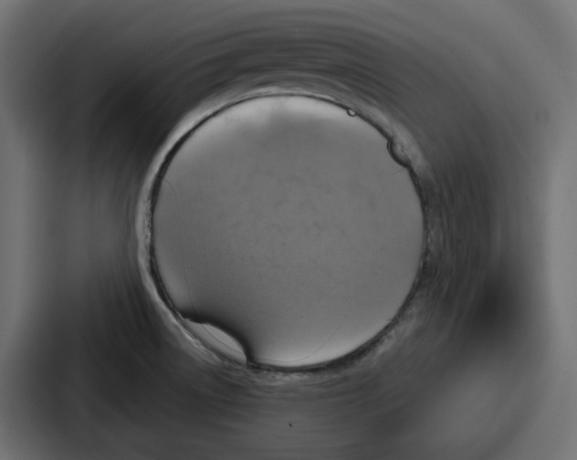 X0000086751522200705111644