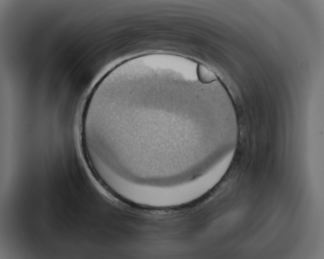 X0000086751523200705111644