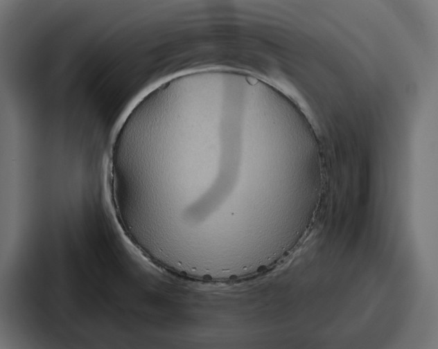 X0000086751524200705111644