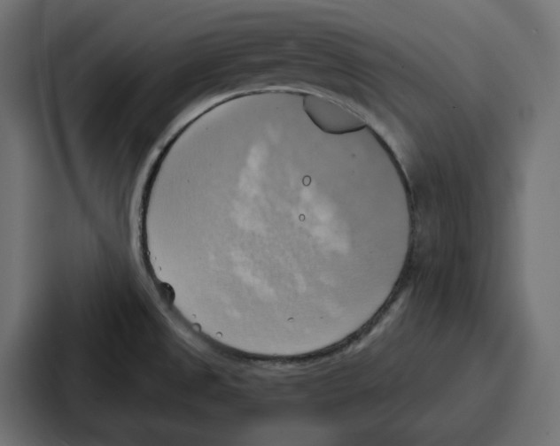 X0000086751525200705111644