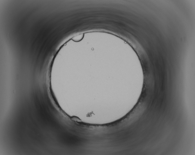 X0000086751526200705111645