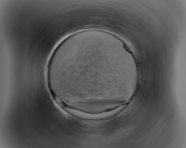 X0000086751527200705111645