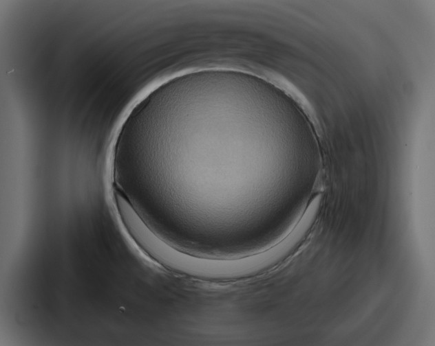 X0000086751528200705111645