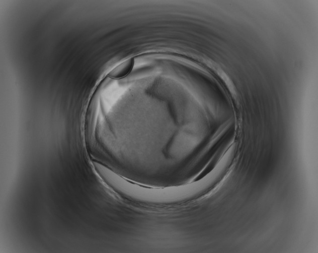 X0000086751529200705111645