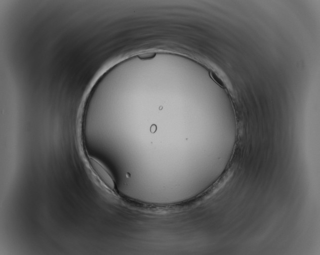 X0000086751530200705111645