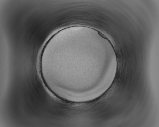 X0000086751531200705111645