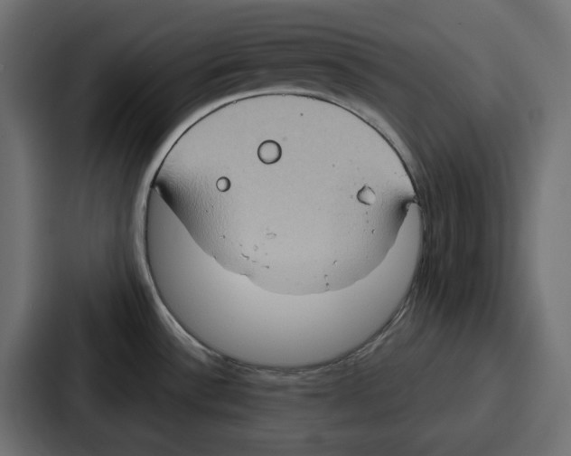 X0000086751532200705111645