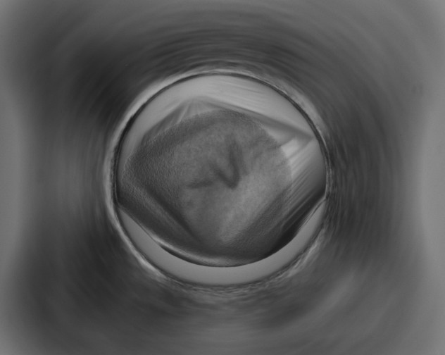 X0000086751533200705111645