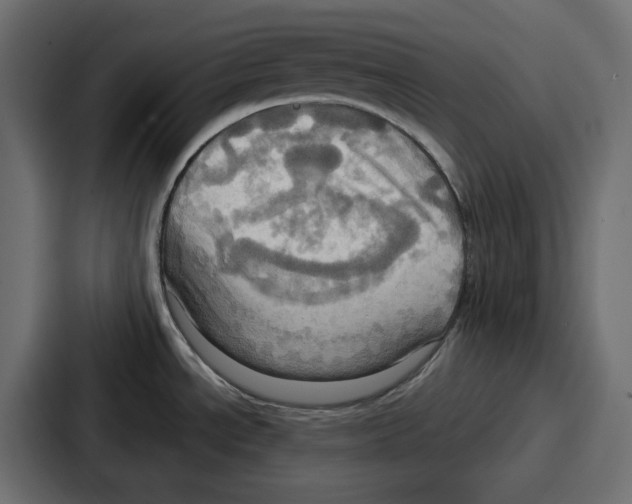 X0000086751534200705111645