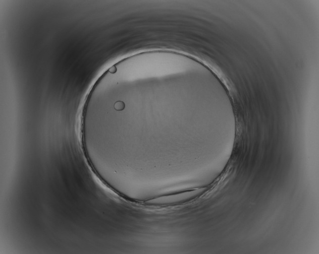 X0000086751535200705111645