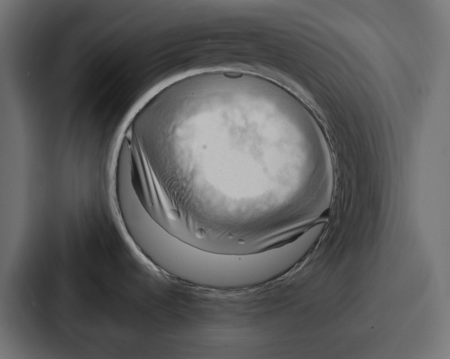 X0000086751536200705111645