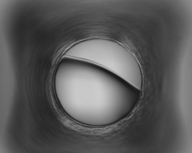 X0000086760001200704130824