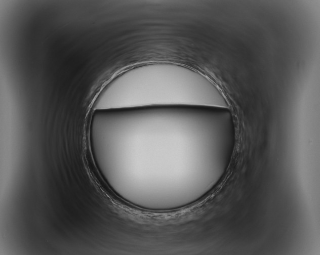 X0000086760002200704130824