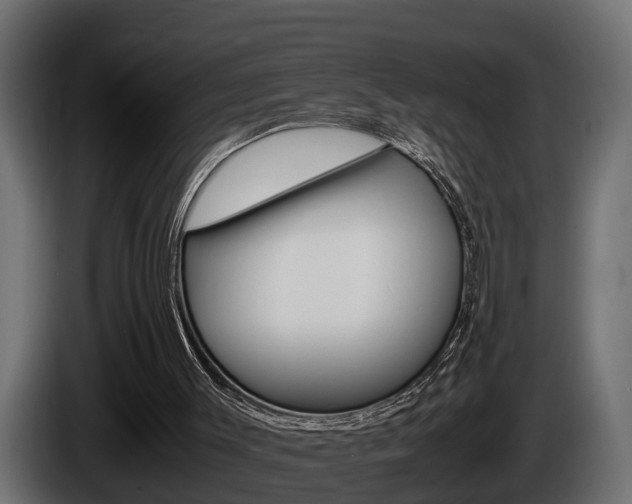 X0000086760003200704130824