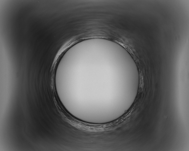 X0000086760004200704130824