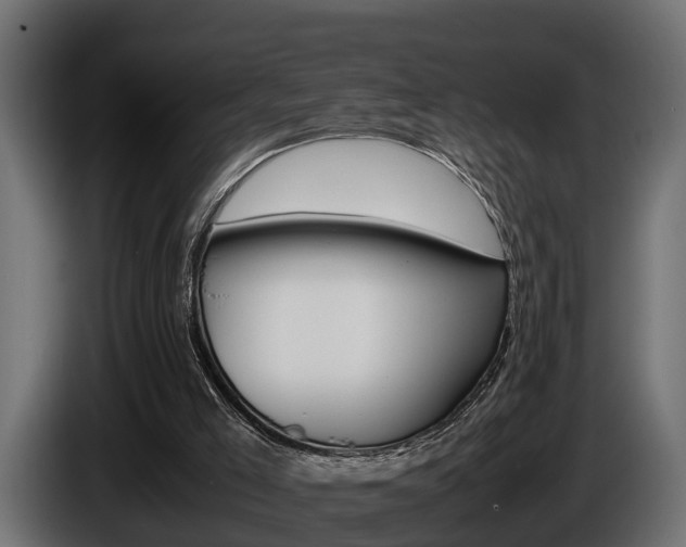 X0000086760005200704130824