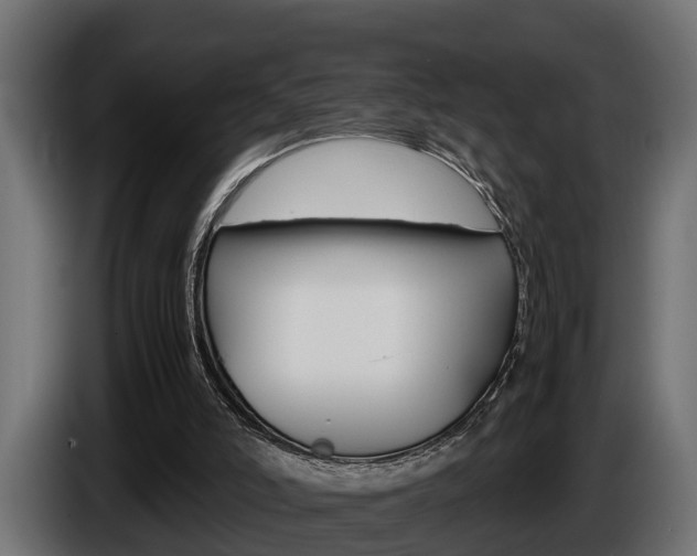 X0000086760006200704130824