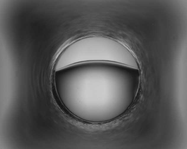 X0000086760007200704130824