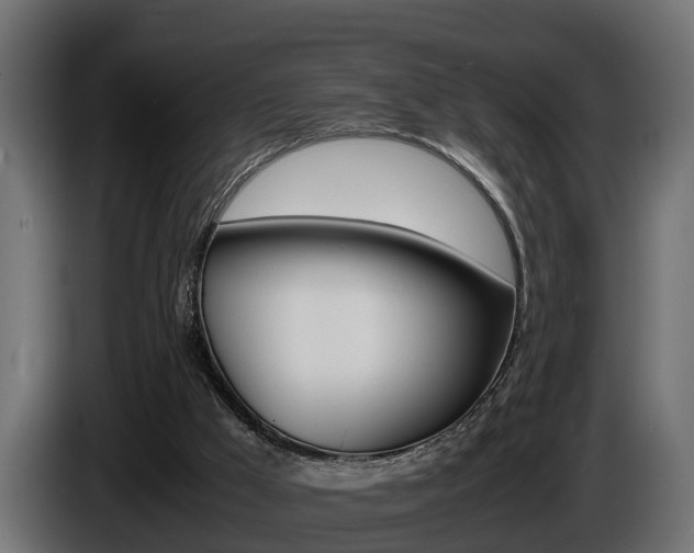 X0000086760009200704130824
