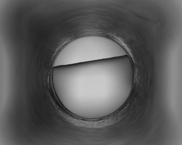 X0000086760010200704130824