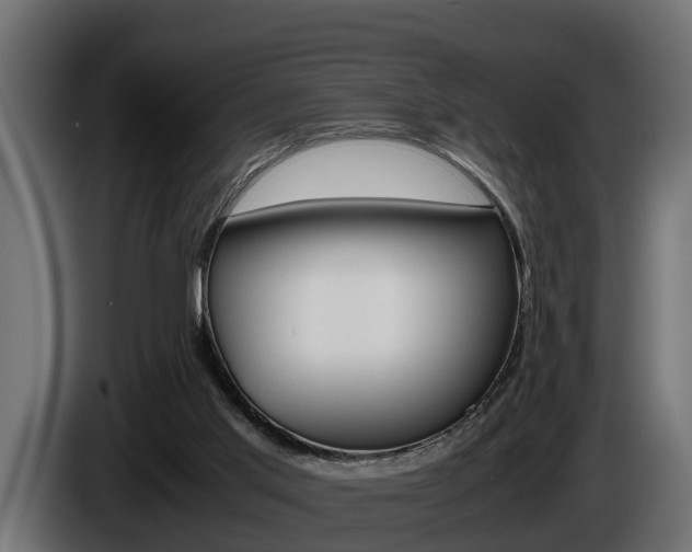 X0000086760013200704130824