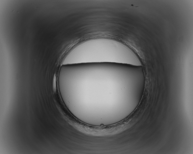 X0000086760014200704130824