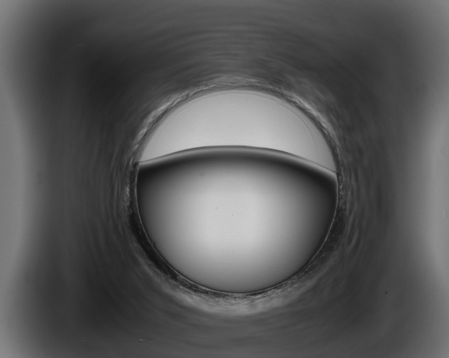 X0000086760015200704130824