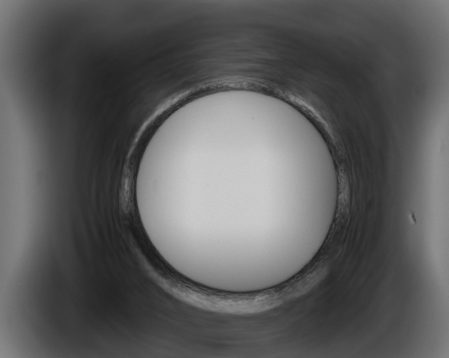 X0000086760016200704130824