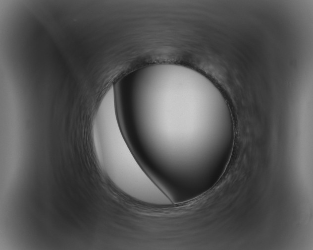 X0000086760017200704130824