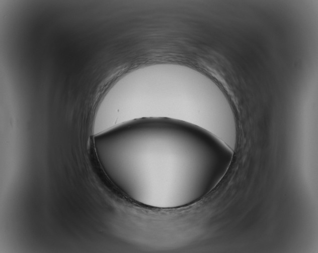 X0000086760019200704130824