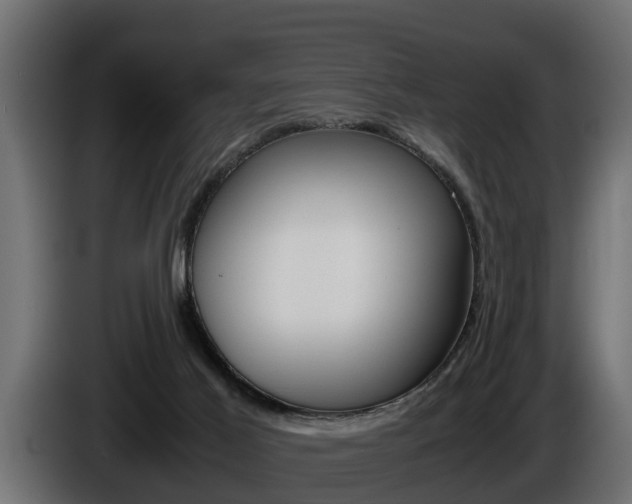 X0000086760021200704130824