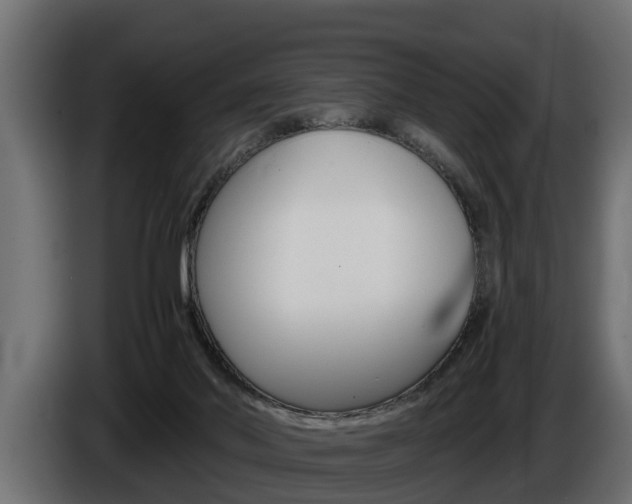 X0000086760022200704130824