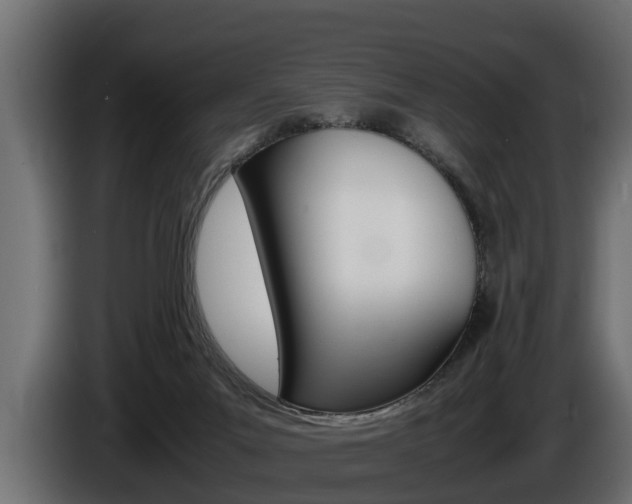 X0000086760023200704130824
