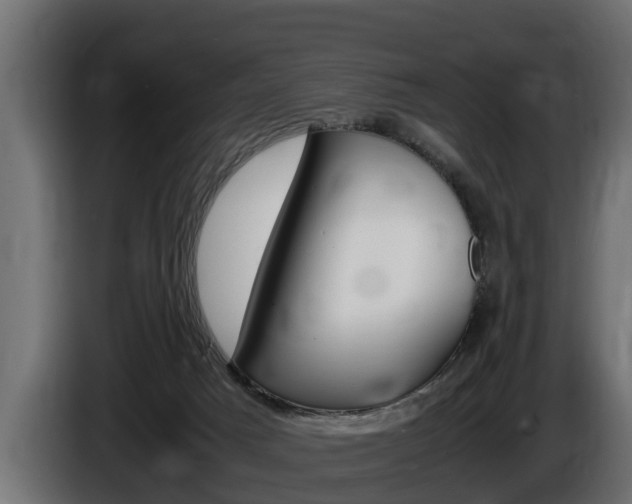 X0000086760025200704130824