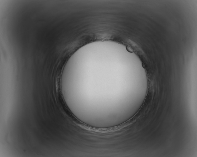 X0000086760026200704130824