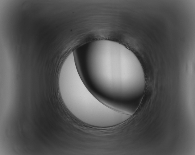 X0000086760027200704130824