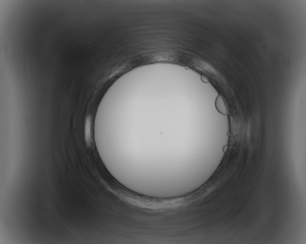 X0000086760028200704130824