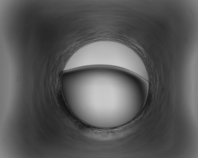 X0000086760029200704130824