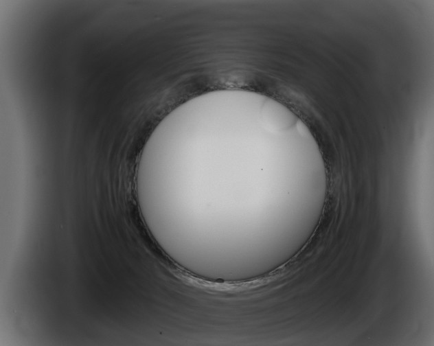 X0000086760030200704130824